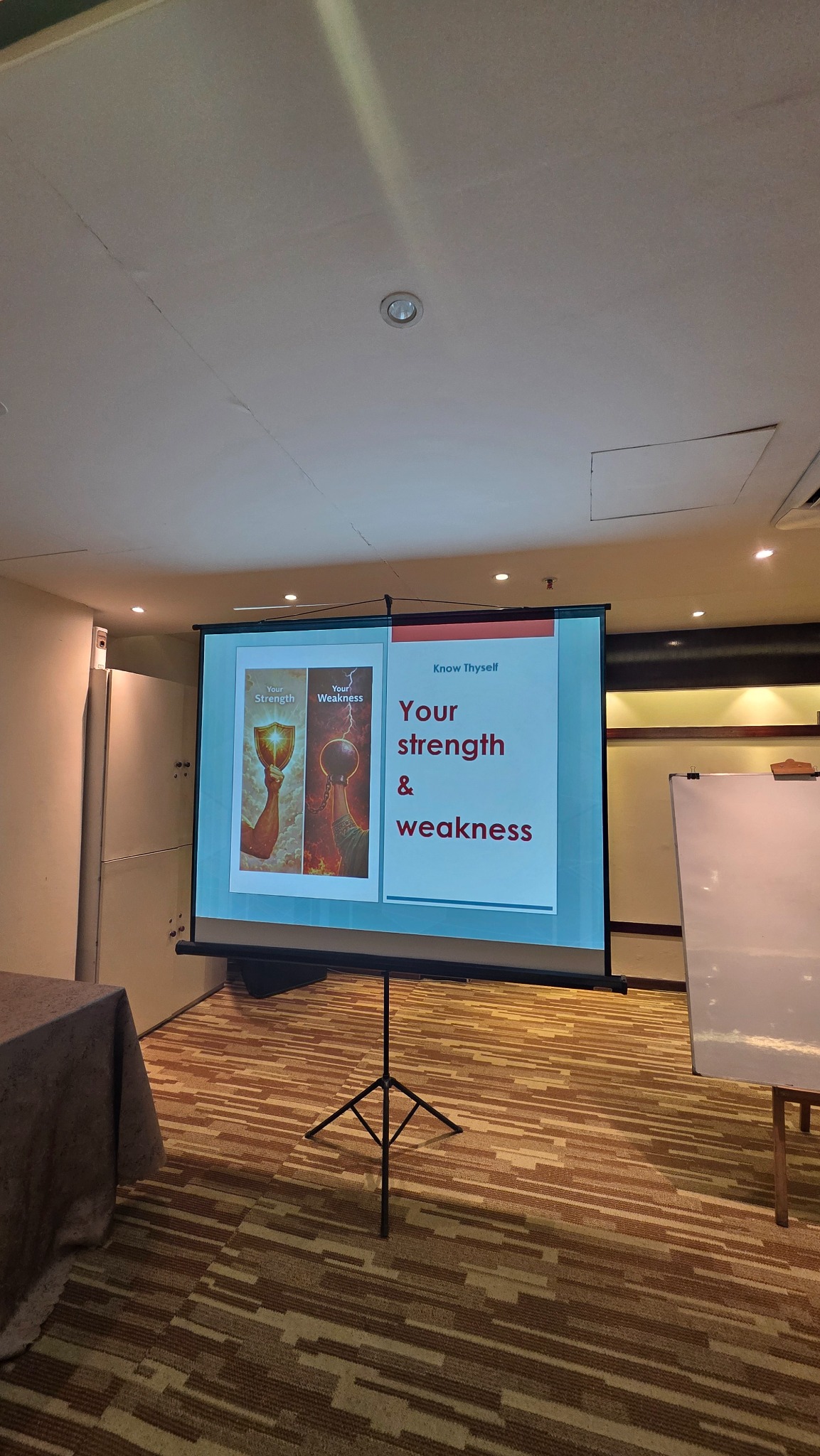 Professional development presentation at a training workshop